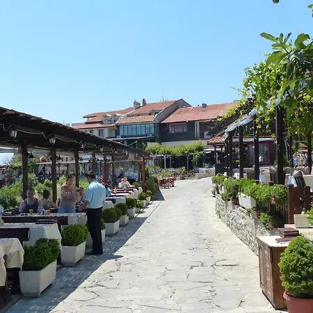 Daire Oasis Sunny Beach