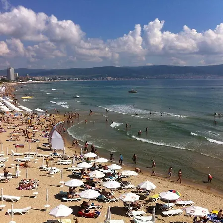 Oasis * Sunny Beach