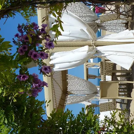 Oasis סאני ביץ'