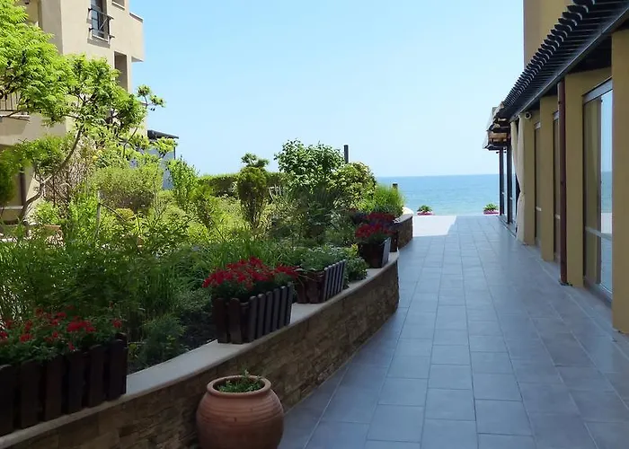 Oasis * サニービーチ