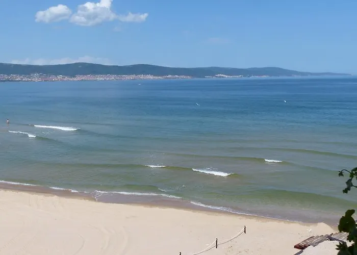 Oasis サニービーチ